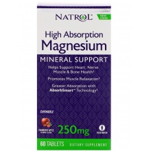  NATROL Magnesium High Absorption 60 