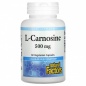  Natural Factors L-Carnosine 500  60 